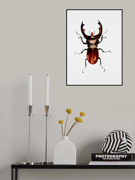 Stag beetle or Lucanus cervus Poster och Canvastavla