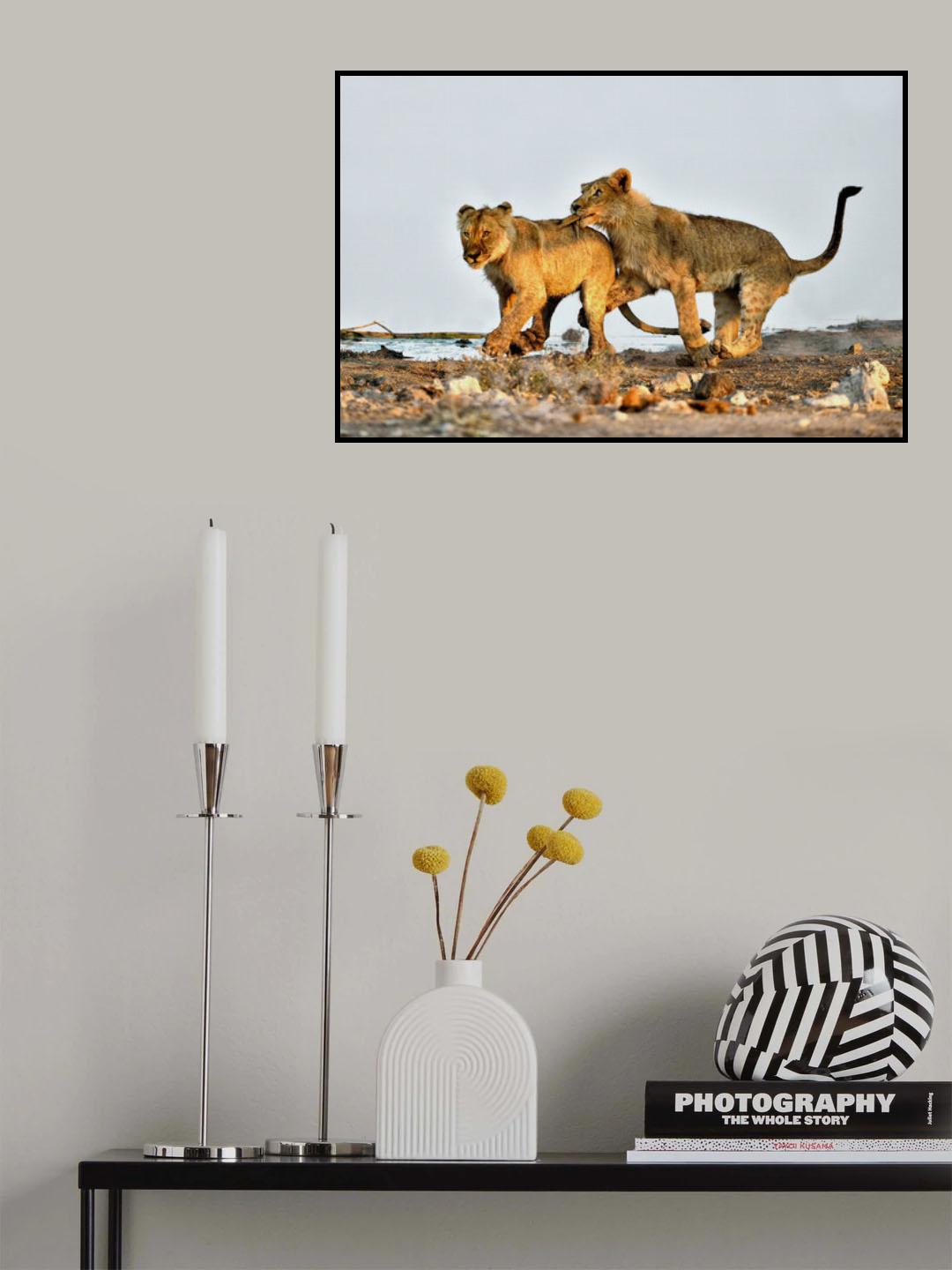 The bite Poster och Canvastavla
