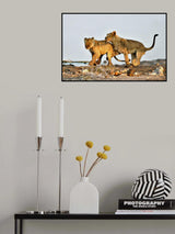 The bite Poster och Canvastavla