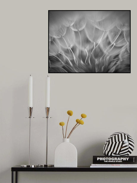 Poster och Canvastavla