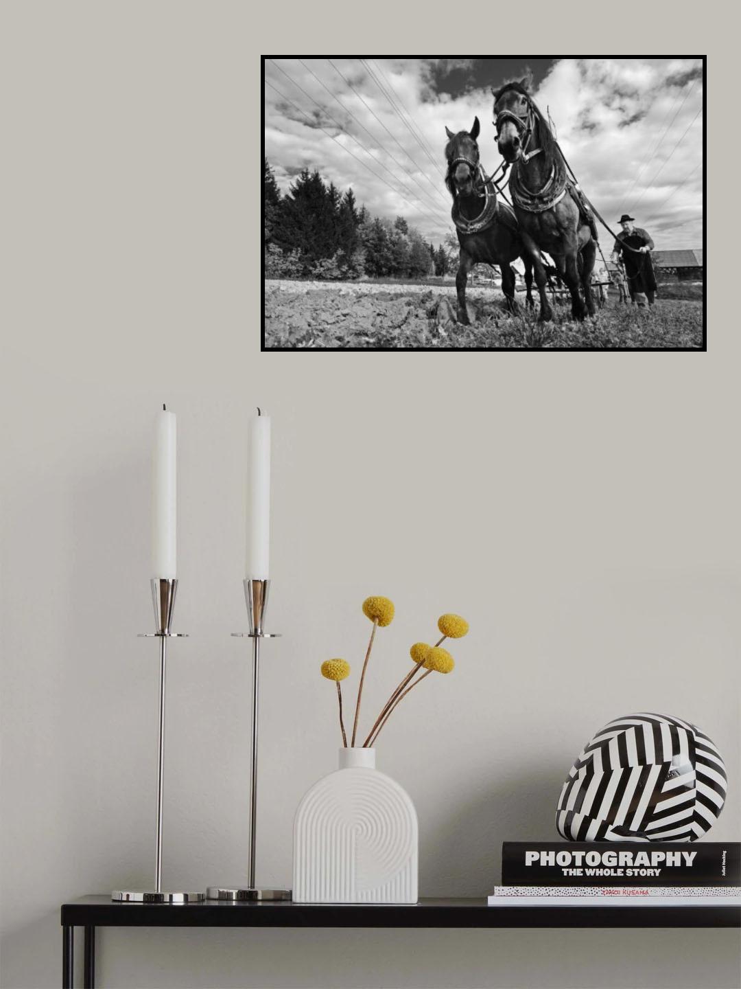 On Ones Own Land III. Poster och Canvastavla