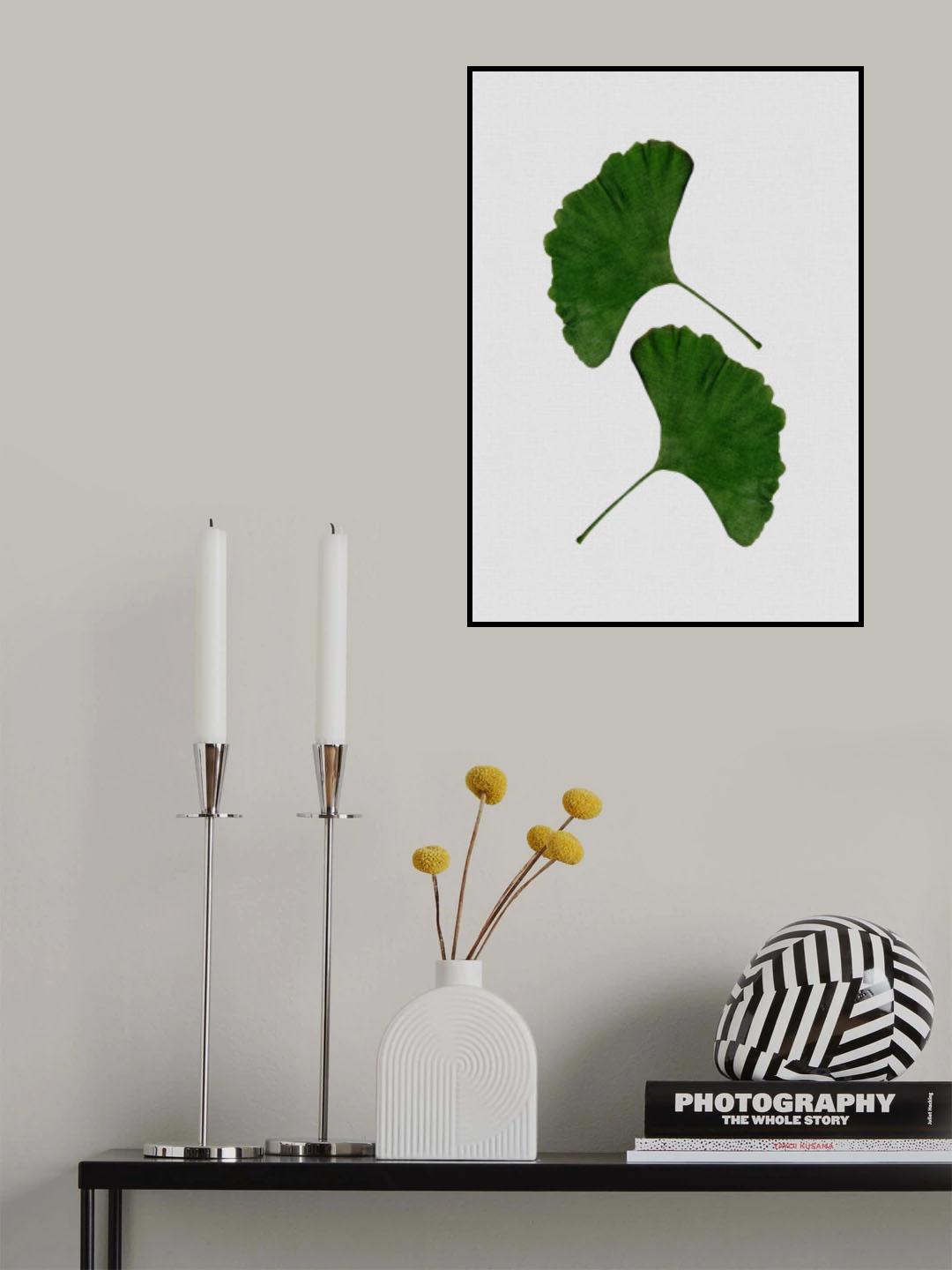 Ginkgo Leaf II Poster och Canvastavla