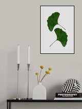 Ginkgo Leaf II Poster och Canvastavla