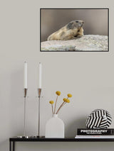 relax Poster och Canvastavla
