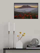 Foggy Sunrise Poster och Canvastavla