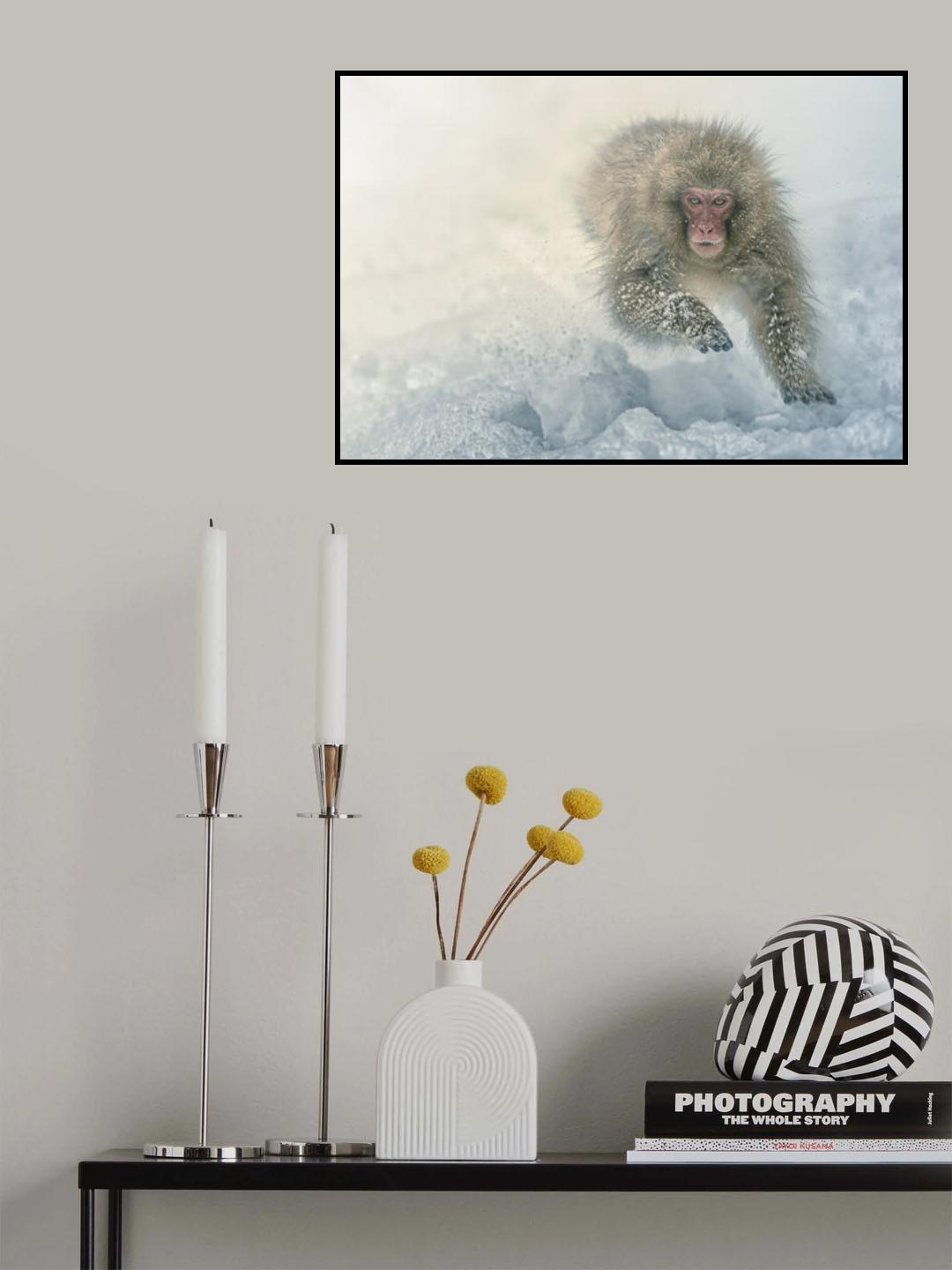 Snow run Poster och Canvastavla