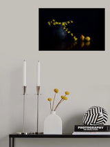 Spring Poster och Canvastavla