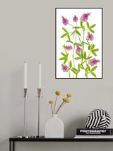 Trifolium Poster och Canvastavla