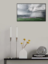 Force of nature Poster och Canvastavla
