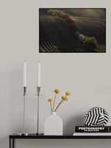 Moravia 13 Poster och Canvastavla