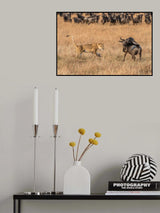 Life and Death #2 Poster och Canvastavla