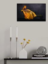 Yellow on the couch Poster och Canvastavla