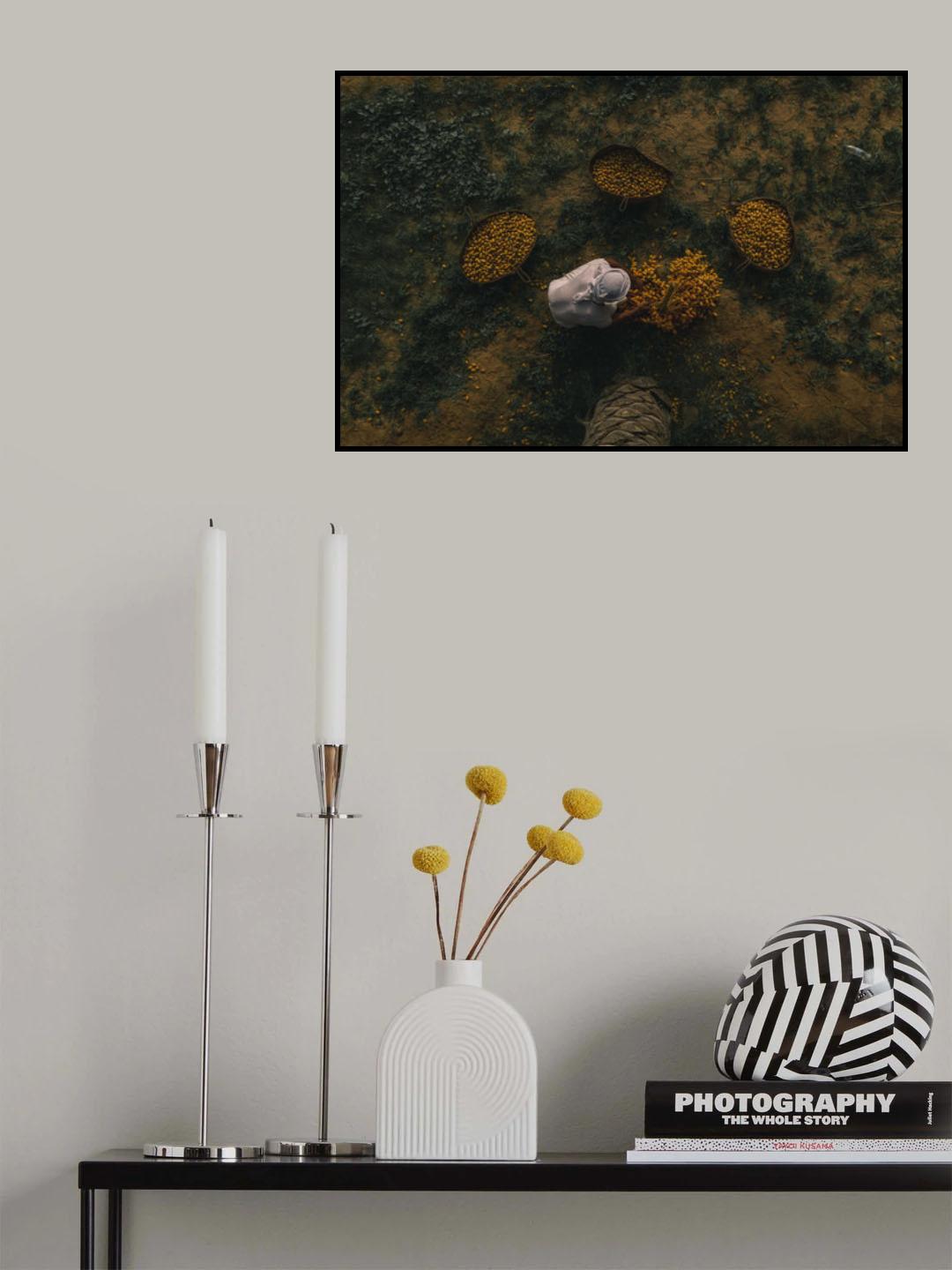 Date Harvest Season Poster och Canvastavla