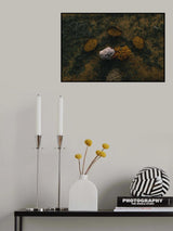 Date Harvest Season Poster och Canvastavla