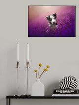 Cutie Poster och Canvastavla