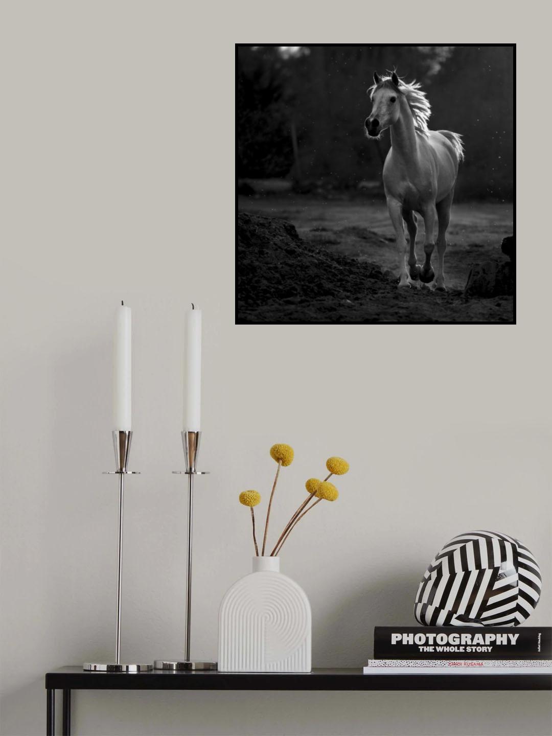 Coquetry Poster och Canvastavla