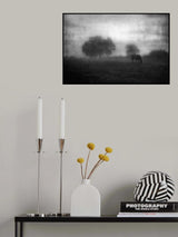 Poster och Canvastavla