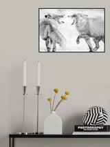 Winter dream 2 Poster och Canvastavla
