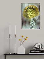 Pincushion 03 Poster och Canvastavla