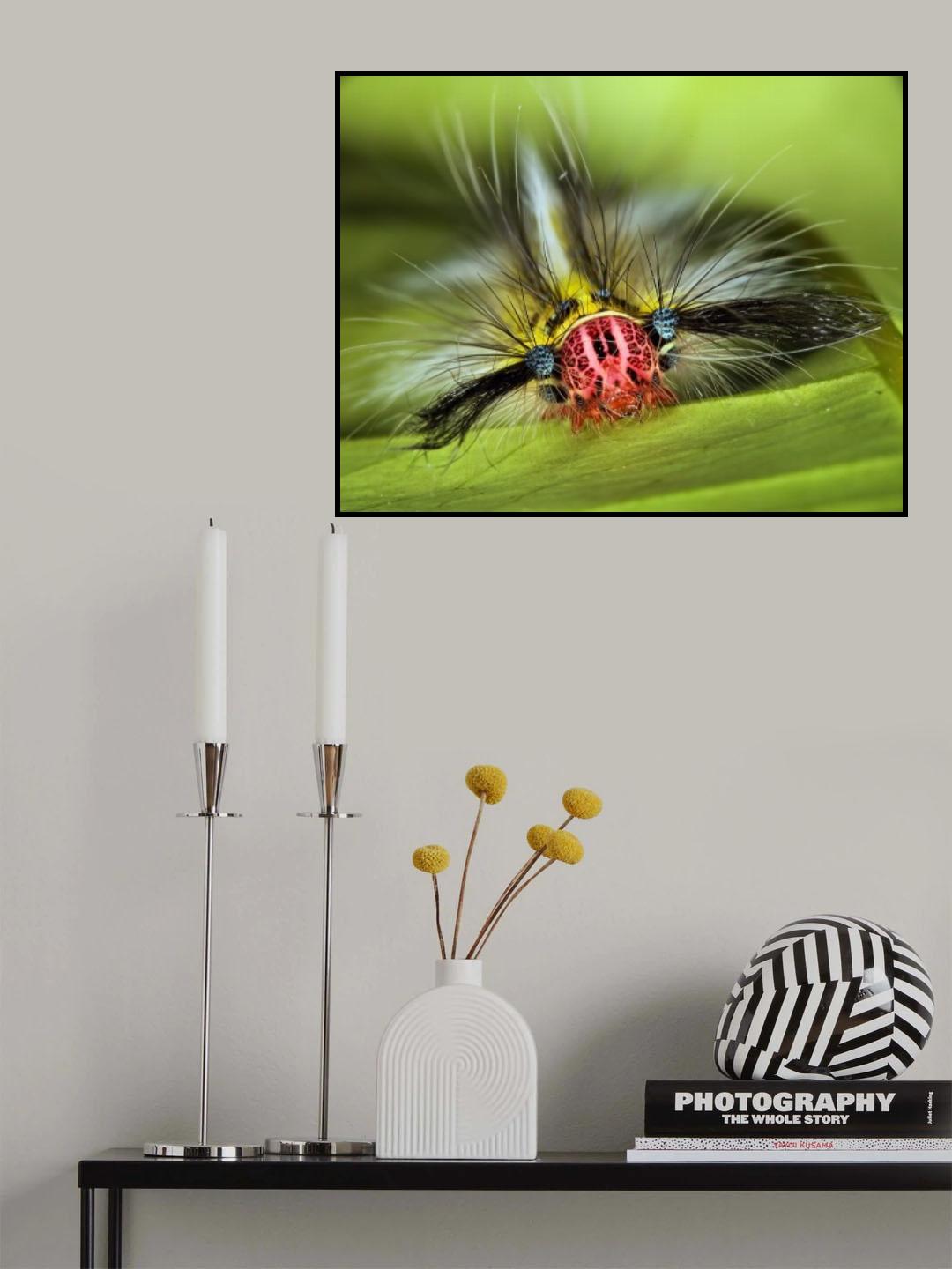 Ulat Poster och Canvastavla