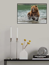 Te run in the lake (fishing) Poster och Canvastavla