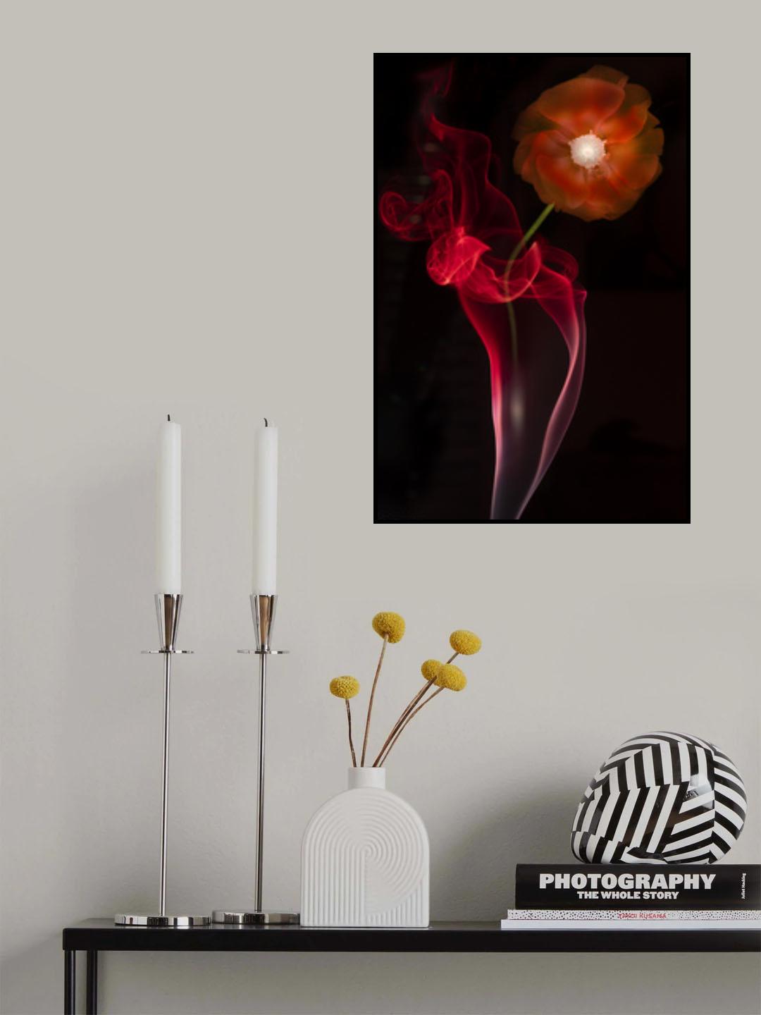 Red Buttercup Poster och Canvastavla
