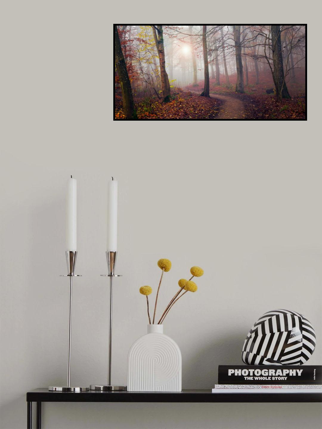 Autumn Sun. Poster och Canvastavla