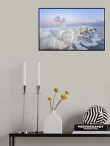 Ice Wonderland Poster och Canvastavla