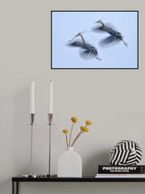 Dream Flight Poster och Canvastavla