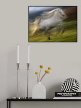 gallop in the wind Poster och Canvastavla