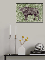 Cape Buffalo and Oxpecker Poster och Canvastavla