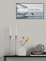 Splash Poster och Canvastavla