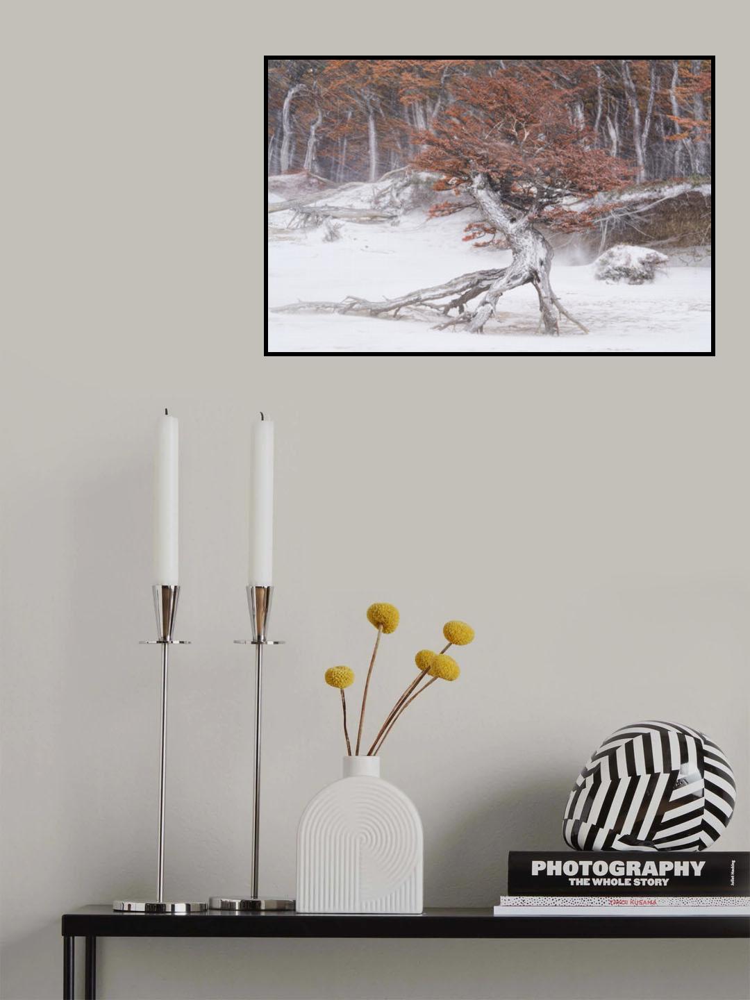Standing Poster och Canvastavla