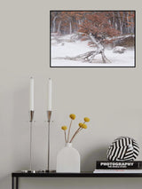 Standing Poster och Canvastavla