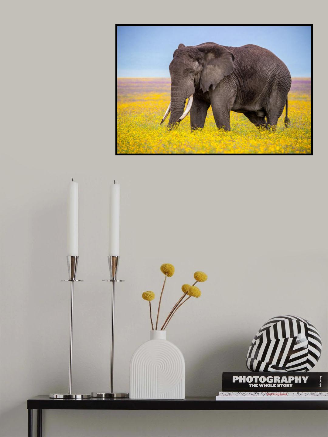 Flower boy Poster och Canvastavla