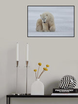 Polar Bear with Branch Poster och Canvastavla