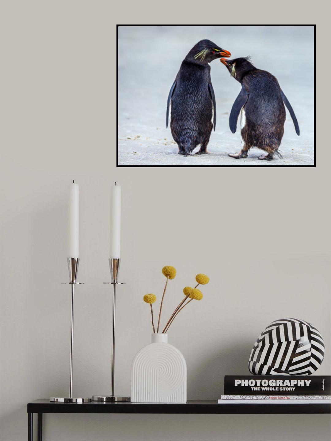 Rockhopper Penguins Chinwag Poster och Canvastavla