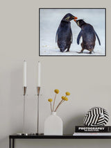 Rockhopper Penguins Chinwag Poster och Canvastavla
