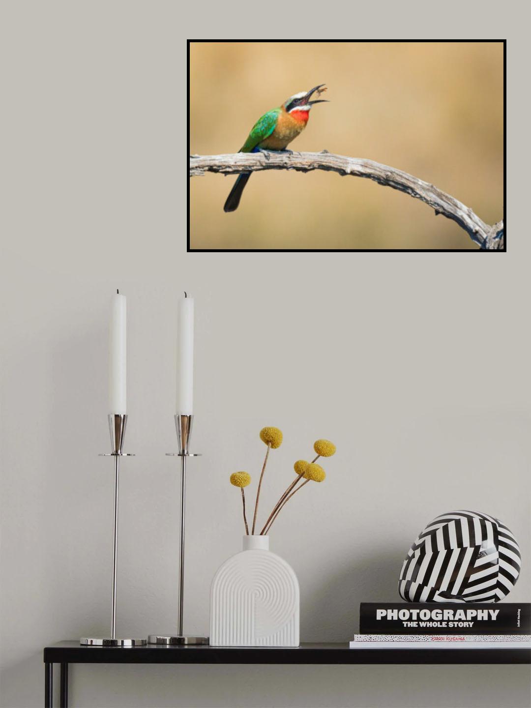 Bee eater, eating a bee Poster och Canvastavla