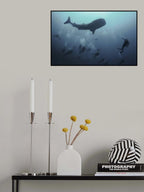 Whale shark Poster och Canvastavla
