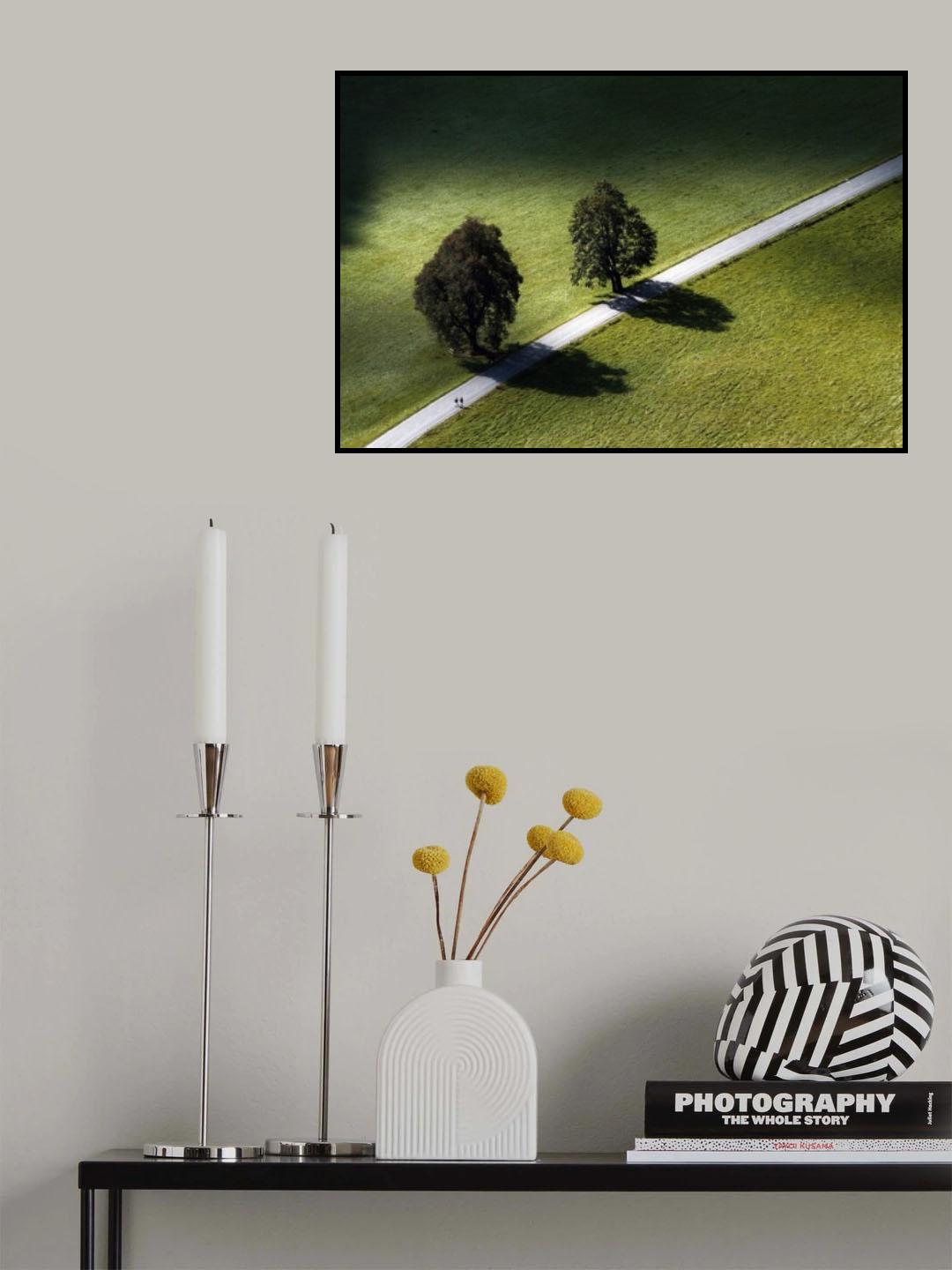 A walk in the park Poster och Canvastavla