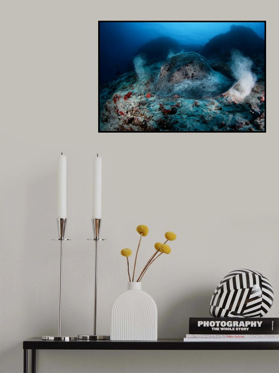 Ignition Poster och Canvastavla