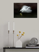 Flying at dusk Poster och Canvastavla