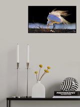 Nurturing Poster och Canvastavla