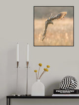 Locked on Target Poster och Canvastavla