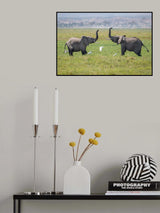 The greeting Poster och Canvastavla