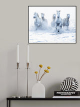Horses on the Run Poster och Canvastavla