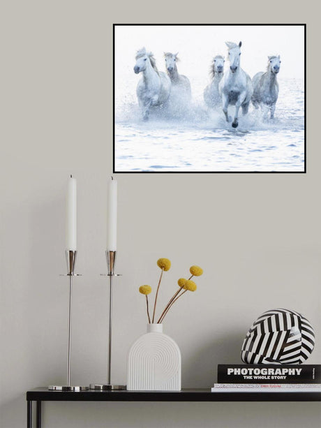 Horses on the Run Poster och Canvastavla