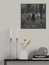 * Poster och Canvastavla