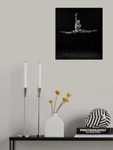 Leap Poster och Canvastavla